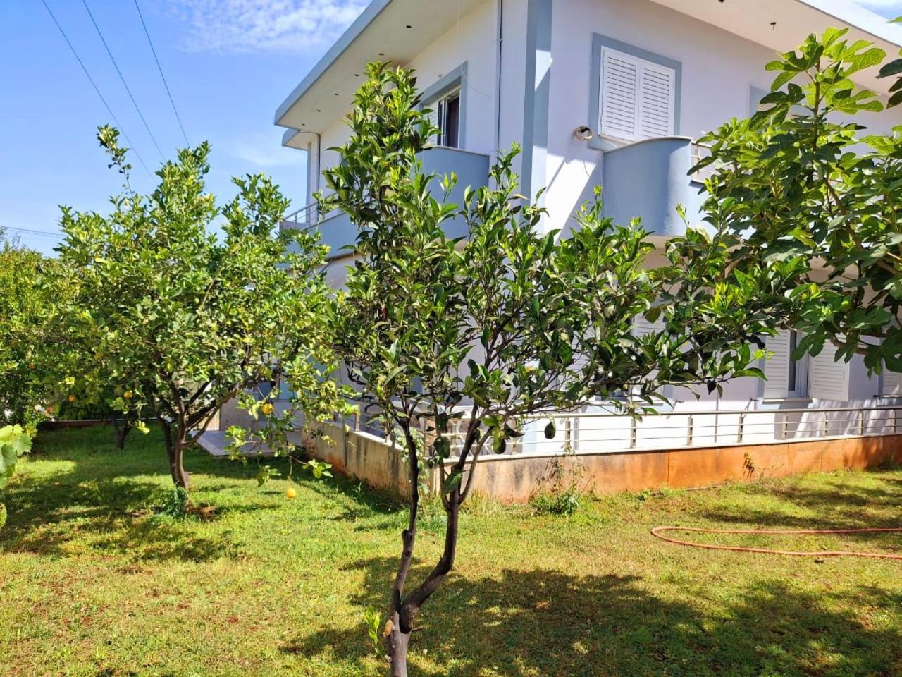 Myksamil Apartments ห้อง รูปภาพ
