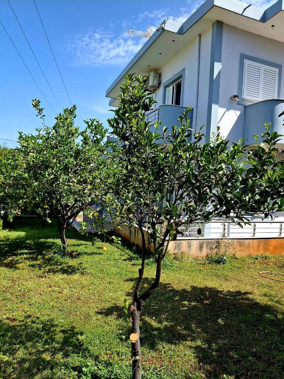 Myksamil Apartments ภายนอก รูปภาพ