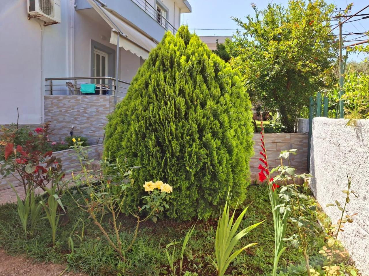 Myksamil Apartments ภายนอก รูปภาพ